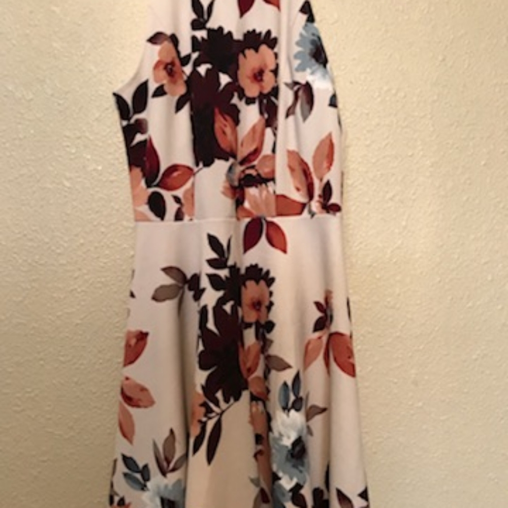 Cloths - Picture 2 of 12